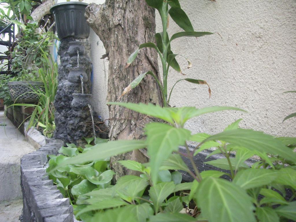 Gusti Homestay Kerobokan Exterior photo